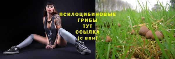 прущий лед Наволоки