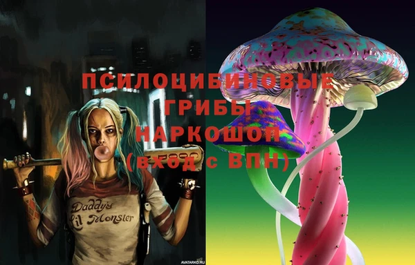 прущие грибы Навашино