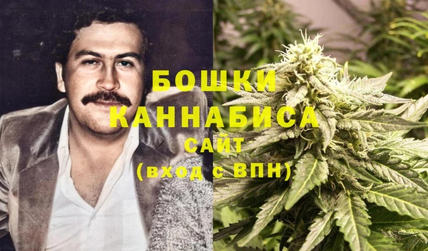 прущие грибы Навашино