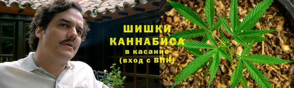 прущие грибы Навашино
