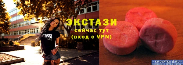 индика Билибино