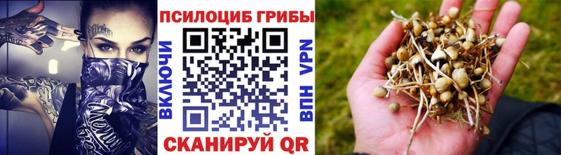 мориарти телеграм  Опочка  Псилоцибиновые грибы ЛСД 
